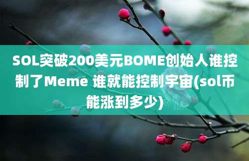 SOL突破200美元BOME创始人谁控制了Meme 谁就能控制宇宙(sol币能涨到多少)