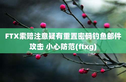 FTX索赔注意疑有重置密码钓鱼邮件攻击 小心防范(ftxg)