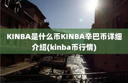 KINBA是什么币KINBA辛巴币详细介绍(kinba币行情)