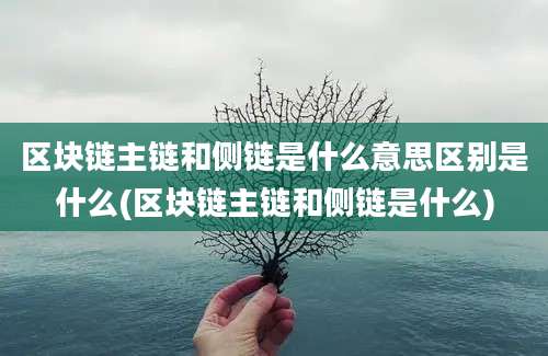 区块链主链和侧链是什么意思区别是什么(区块链主链和侧链是什么)