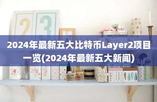 2024年最新五大比特币Layer2项目一览(2024年最新五大新闻)