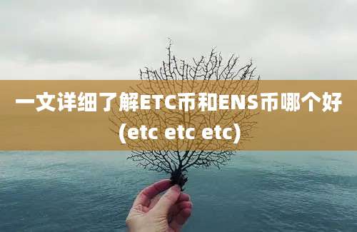 一文详细了解ETC币和ENS币哪个好(etc etc etc)