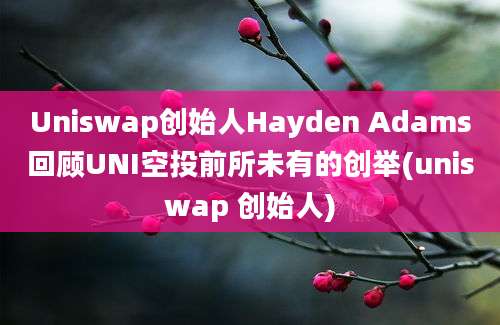 Uniswap创始人Hayden Adams回顾UNI空投前所未有的创举(uniswap 创始人)