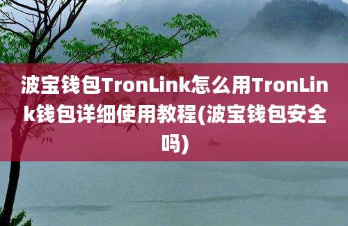 波宝钱包TronLink怎么用TronLink钱包详细使用教程(波宝钱包安全吗)