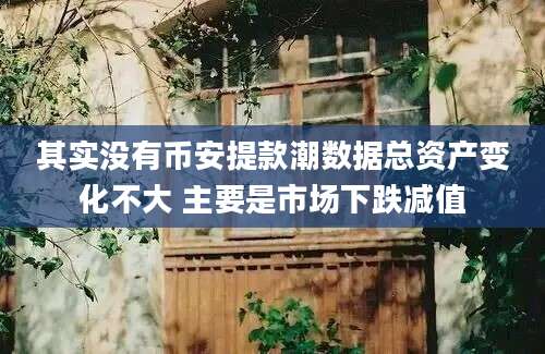 其实没有币安提款潮数据总资产变化不大 主要是市场下跌减值