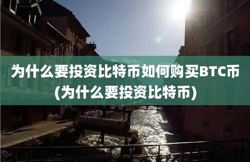 为什么要投资比特币如何购买BTC币(为什么要投资比特币)