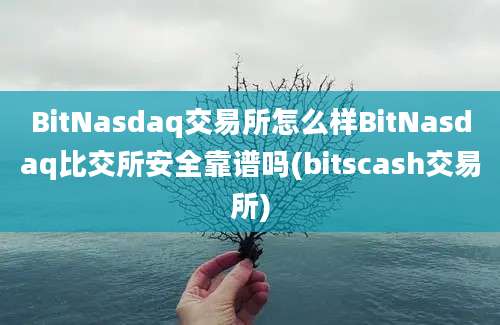 BitNasdaq交易所怎么样BitNasdaq比交所安全靠谱吗(bitscash交易所)