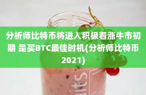 分析师比特币将进入积极看涨牛市初期 是买BTC最佳时机(分析师比特币2021)