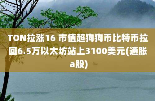 TON拉涨16 市值超狗狗币比特币拉回6.5万以太坊站上3100美元(通胀 a股)