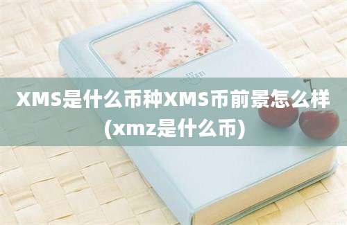 XMS是什么币种XMS币前景怎么样(xmz是什么币)