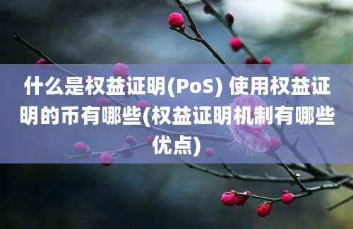 什么是权益证明(PoS) 使用权益证明的币有哪些(权益证明机制有哪些优点)