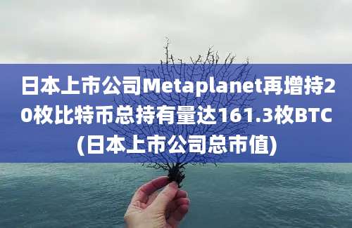 日本上市公司Metaplanet再增持20枚比特币总持有量达161.3枚BTC(日本上市公司总市值)