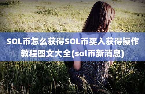 SOL币怎么获得SOL币买入获得操作教程图文大全(sol币新消息)