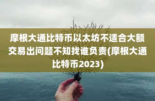 摩根大通比特币以太坊不适合大额交易出问题不知找谁负责(摩根大通比特币2023)