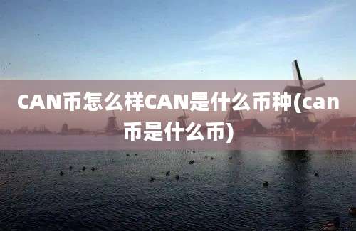 CAN币怎么样CAN是什么币种(can币是什么币)