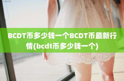 BCDT币多少钱一个BCDT币最新行情(bcdt币多少钱一个)