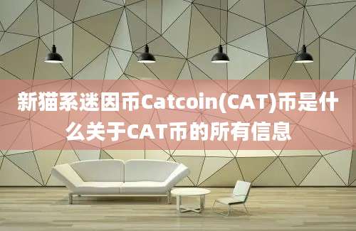 新猫系迷因币Catcoin(CAT)币是什么关于CAT币的所有信息