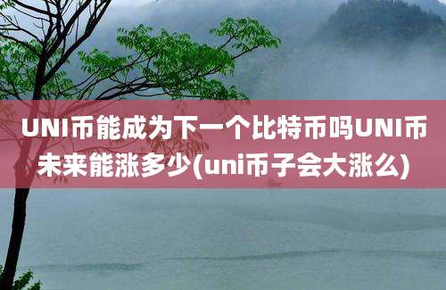 UNI币能成为下一个比特币吗UNI币未来能涨多少(uni币子会大涨么)