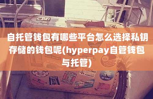 自托管钱包有哪些平台怎么选择私钥存储的钱包呢(hyperpay自管钱包与托管)