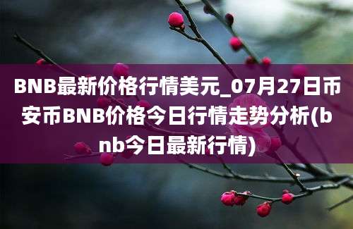 BNB最新价格行情美元_07月27日币安币BNB价格今日行情走势分析(bnb今日最新行情)