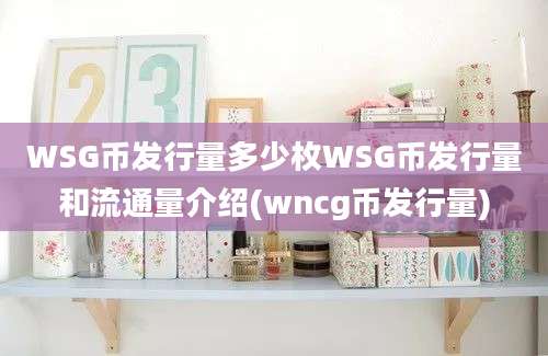 WSG币发行量多少枚WSG币发行量和流通量介绍(wncg币发行量)