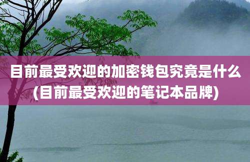 目前最受欢迎的加密钱包究竟是什么(目前最受欢迎的笔记本品牌)