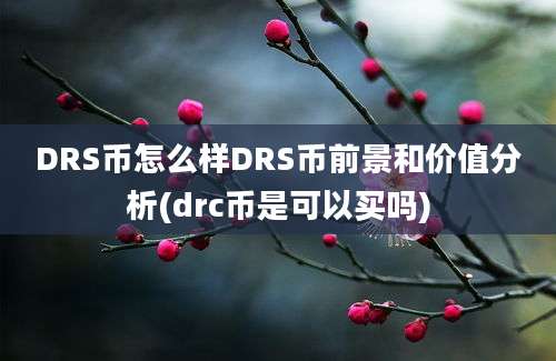 DRS币怎么样DRS币前景和价值分析(drc币是可以买吗)