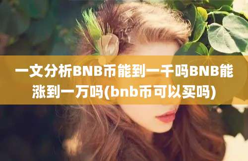 一文分析BNB币能到一千吗BNB能涨到一万吗(bnb币可以买吗)