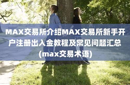 MAX交易所介绍MAX交易所新手开户注册出入金教程及常见问题汇总(max交易术语)