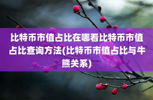 比特币市值占比在哪看比特币市值占比查询方法(比特币市值占比与牛熊关系)