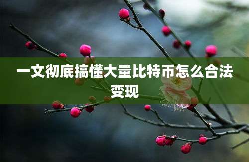 一文彻底搞懂大量比特币怎么合法变现