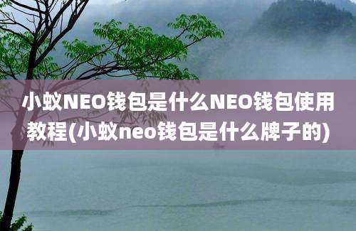 小蚁NEO钱包是什么NEO钱包使用教程(小蚁neo钱包是什么牌子的)