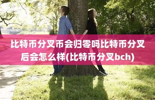 比特币分叉币会归零吗比特币分叉后会怎么样(比特币分叉bch)