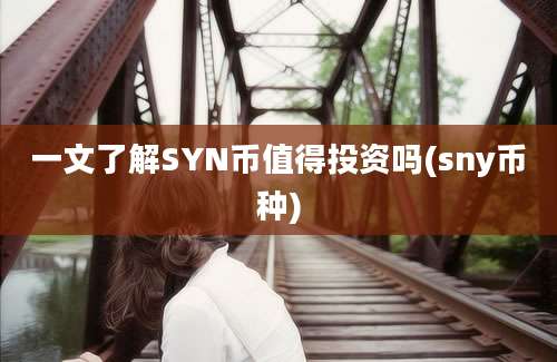 一文了解SYN币值得投资吗(sny币种)