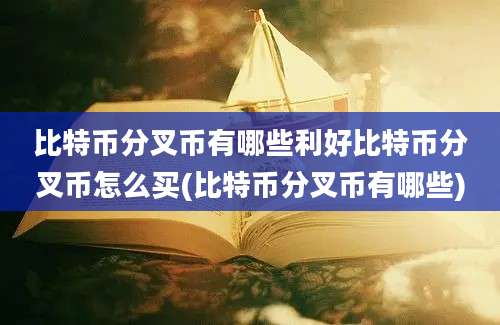 比特币分叉币有哪些利好比特币分叉币怎么买(比特币分叉币有哪些)