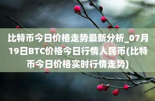 比特币今日价格走势最新分析_07月19日BTC价格今日行情人民币(比特币今日价格实时行情走势)