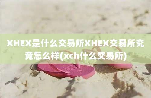 XHEX是什么交易所XHEX交易所究竟怎么样(xch什么交易所)