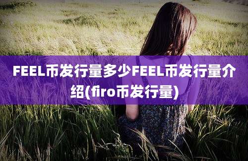 FEEL币发行量多少FEEL币发行量介绍(firo币发行量)