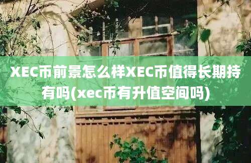 XEC币前景怎么样XEC币值得长期持有吗(xec币有升值空间吗)