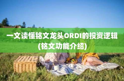 一文读懂铭文龙头ORDI的投资逻辑(铭文功能介绍)