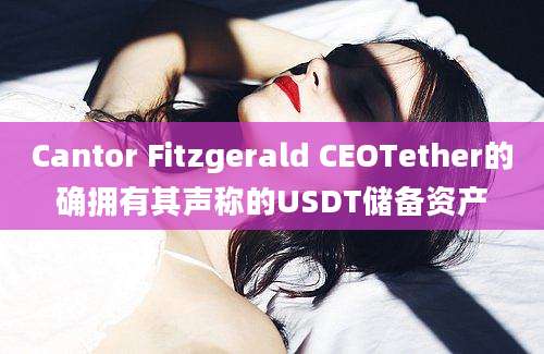 Cantor Fitzgerald CEOTether的确拥有其声称的USDT储备资产