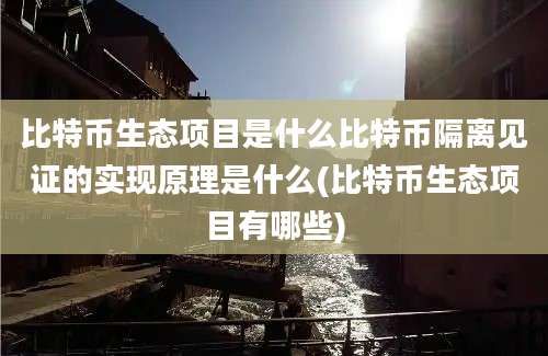 比特币生态项目是什么比特币隔离见证的实现原理是什么(比特币生态项目有哪些)