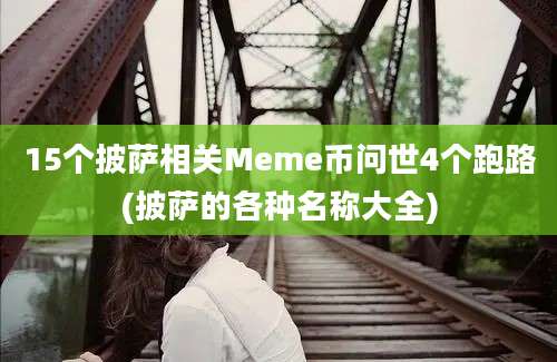 15个披萨相关Meme币问世4个跑路(披萨的各种名称大全)