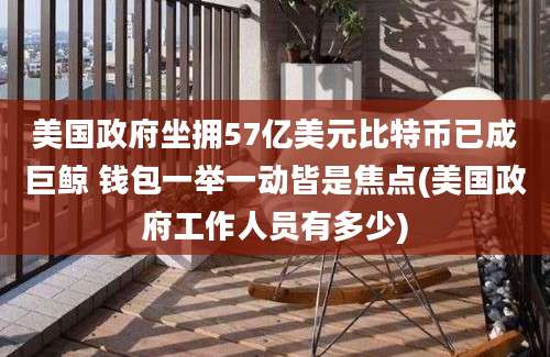 美国政府坐拥57亿美元比特币已成巨鲸 钱包一举一动皆是焦点(美国政府工作人员有多少)