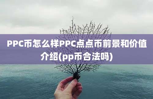 PPC币怎么样PPC点点币前景和价值介绍(pp币合法吗)