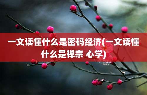 一文读懂什么是密码经济(一文读懂什么是禅宗 心学)