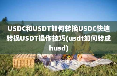 USDC和USDT如何转换USDC快速转换USDT操作技巧(usdt如何转成husd)