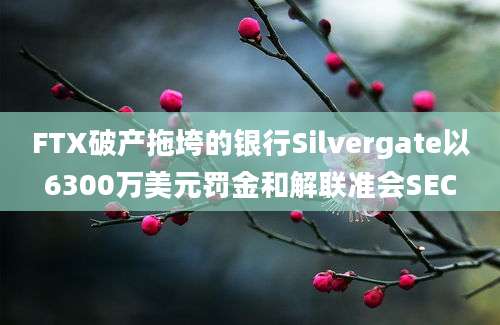 FTX破产拖垮的银行Silvergate以6300万美元罚金和解联准会SEC