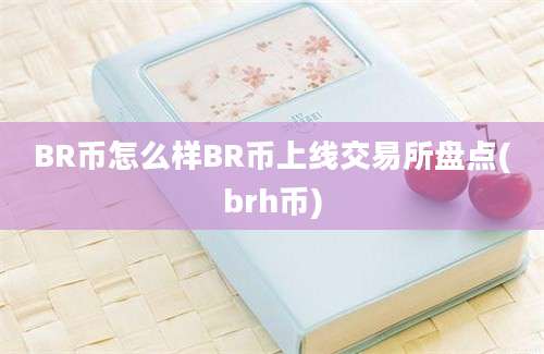 BR币怎么样BR币上线交易所盘点(brh币)