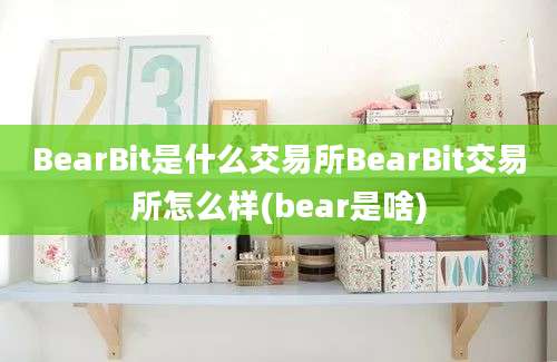 BearBit是什么交易所BearBit交易所怎么样(bear是啥)